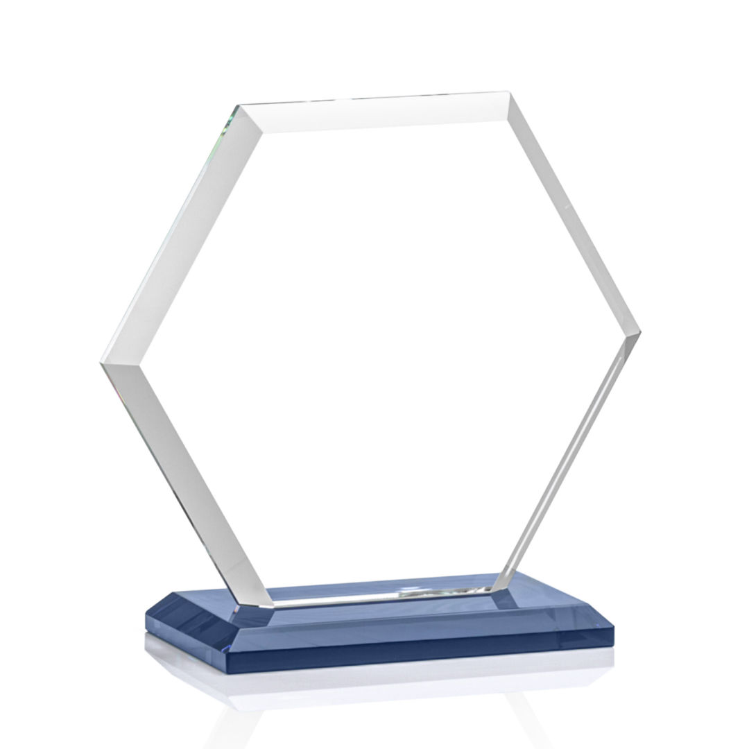Barnett Award - Blue 17