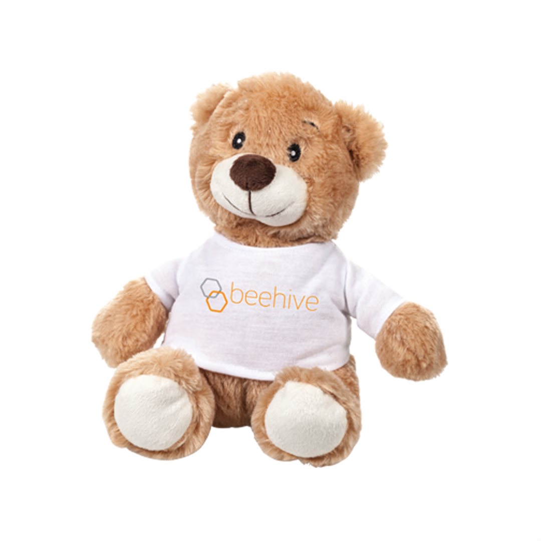 Chester the Teddy Bear (with T-Shirt) 2