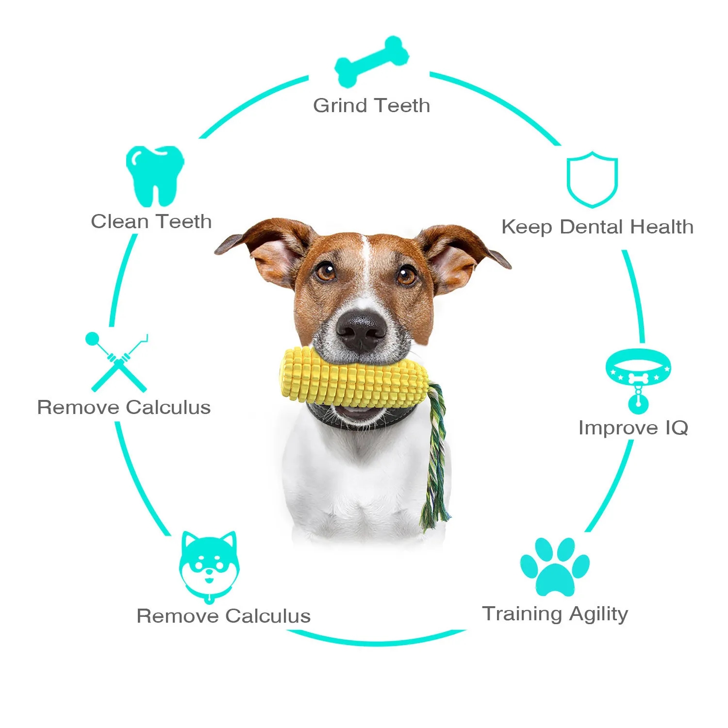 Pet Corn Sound Grinding Stick Dog Toothbrush Toy 7