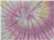Women's Tie-Dyed Crop T-Shirt - 1050 21