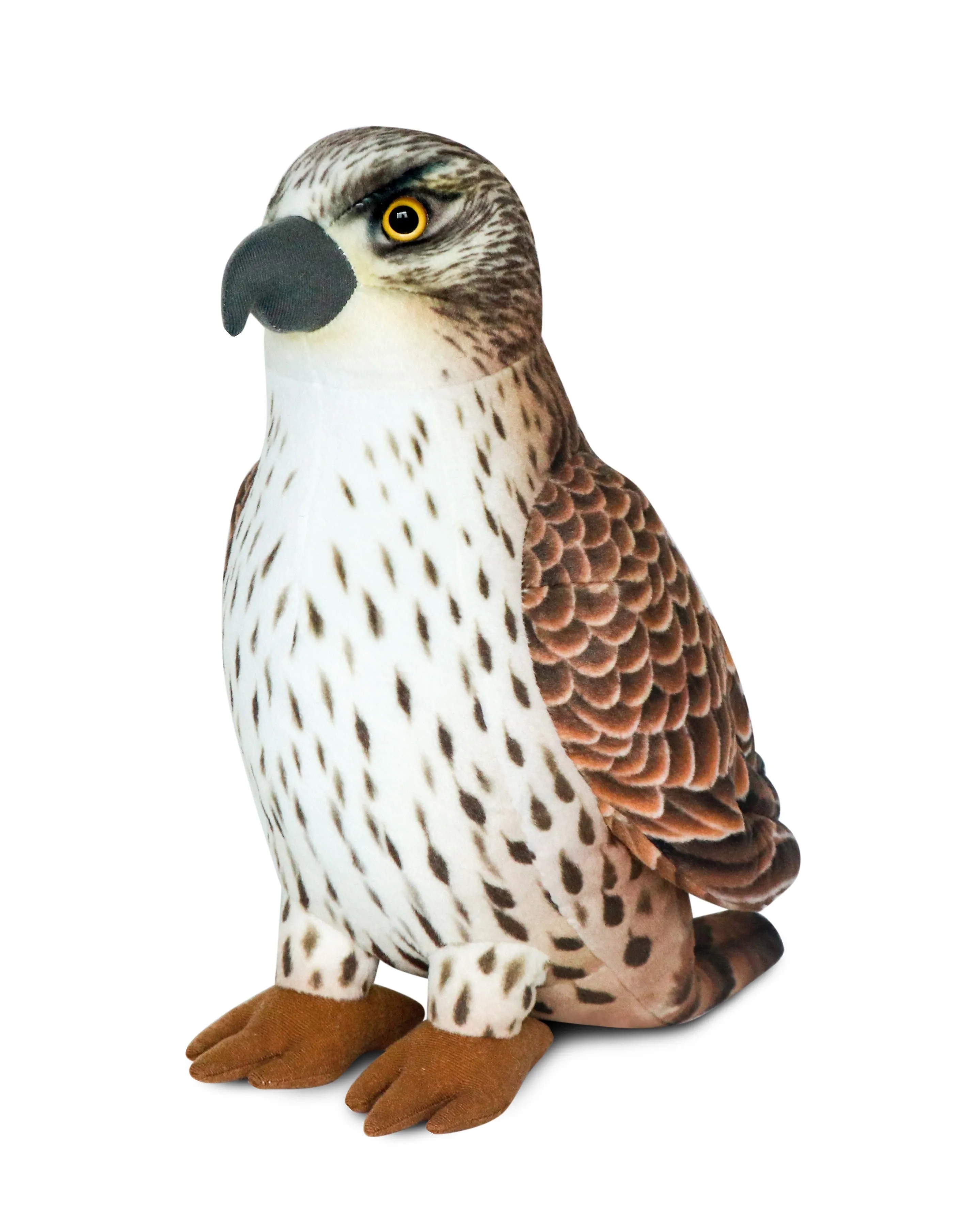 Falcon 2