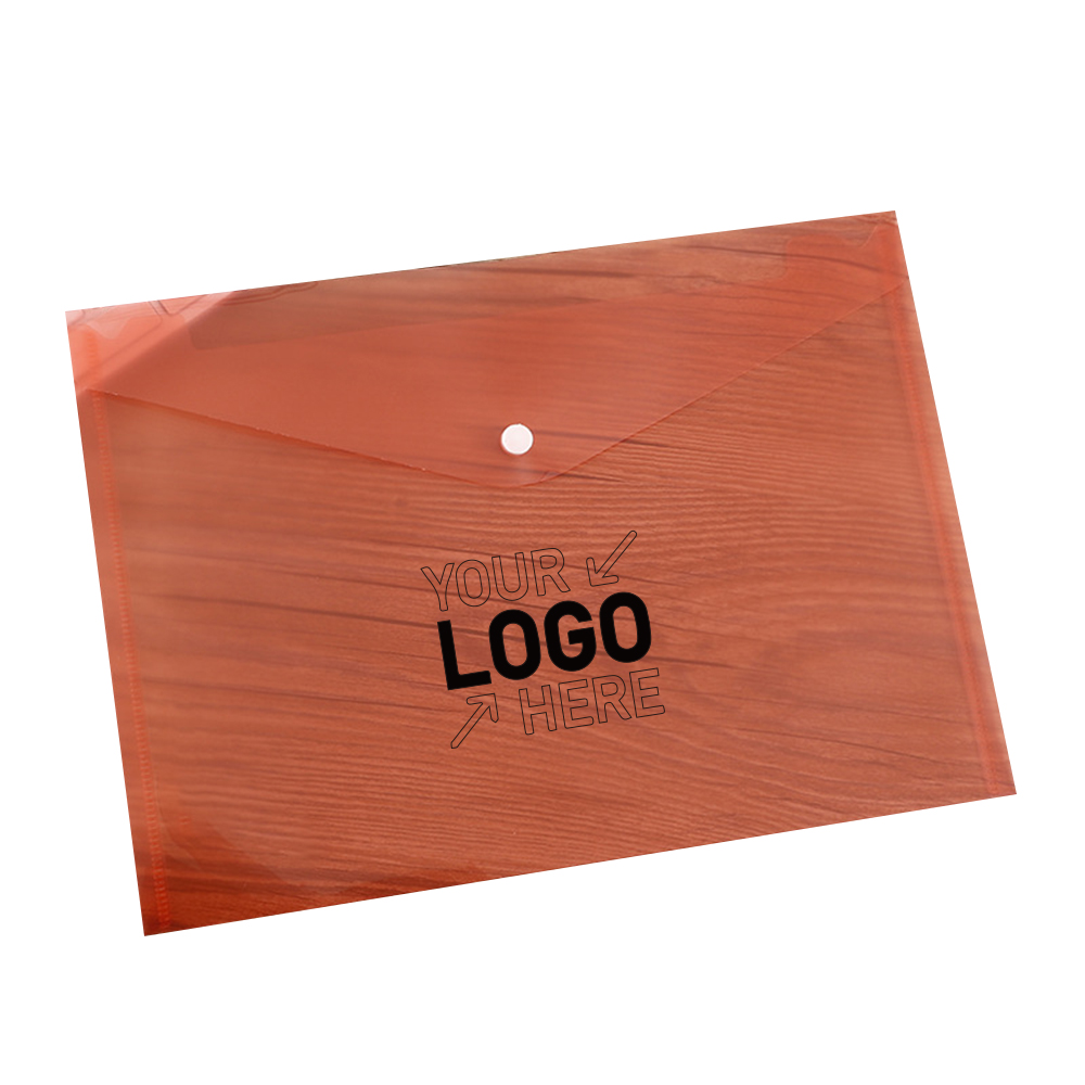 Transparent Snap Document Bag 3