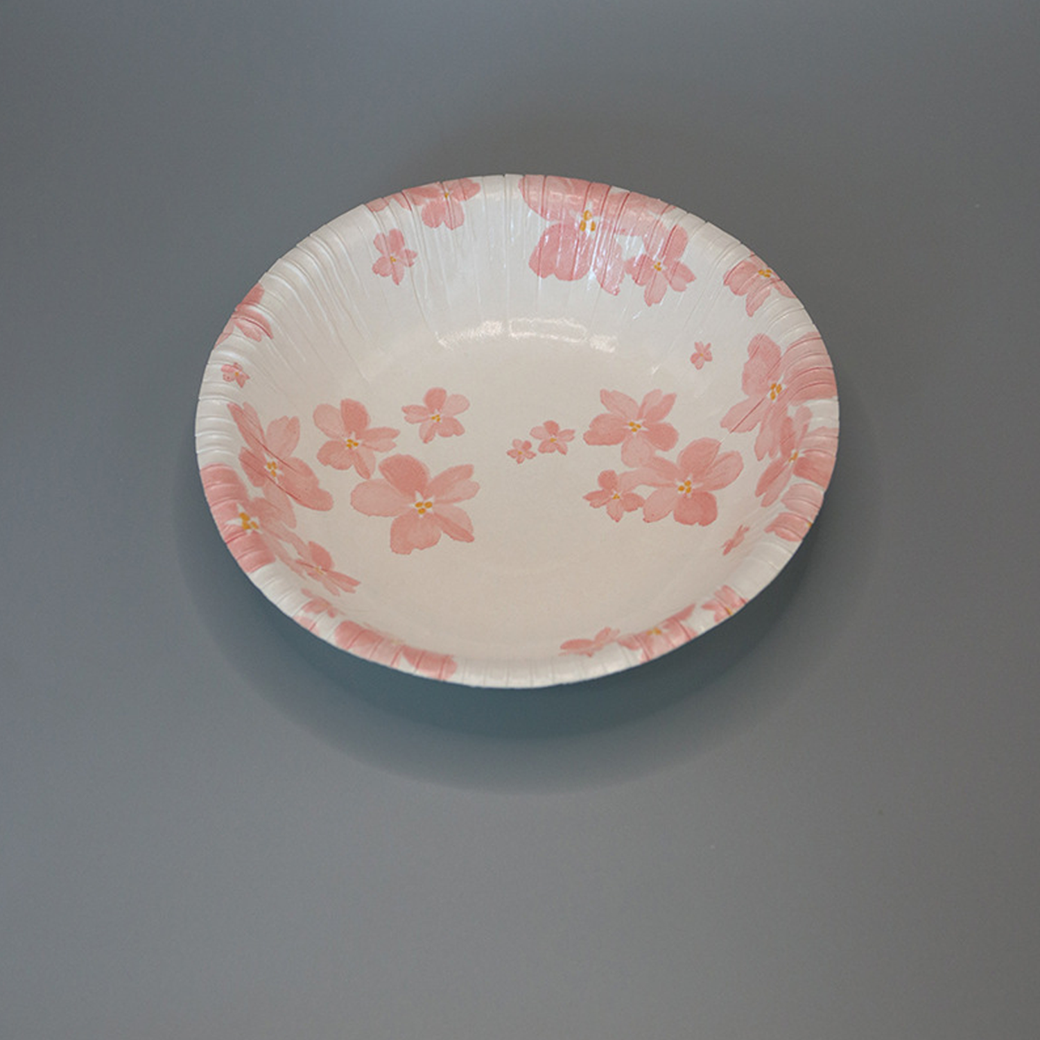 Disposable Paper Plates 2