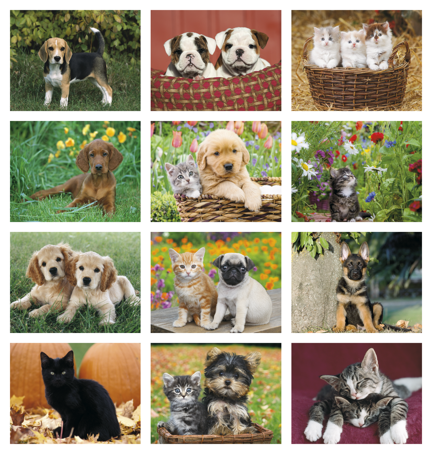 HotLine® Products Four Paws Appointment Calendar - Stapled 9