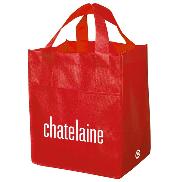 Non Woven Carry All Bag 11