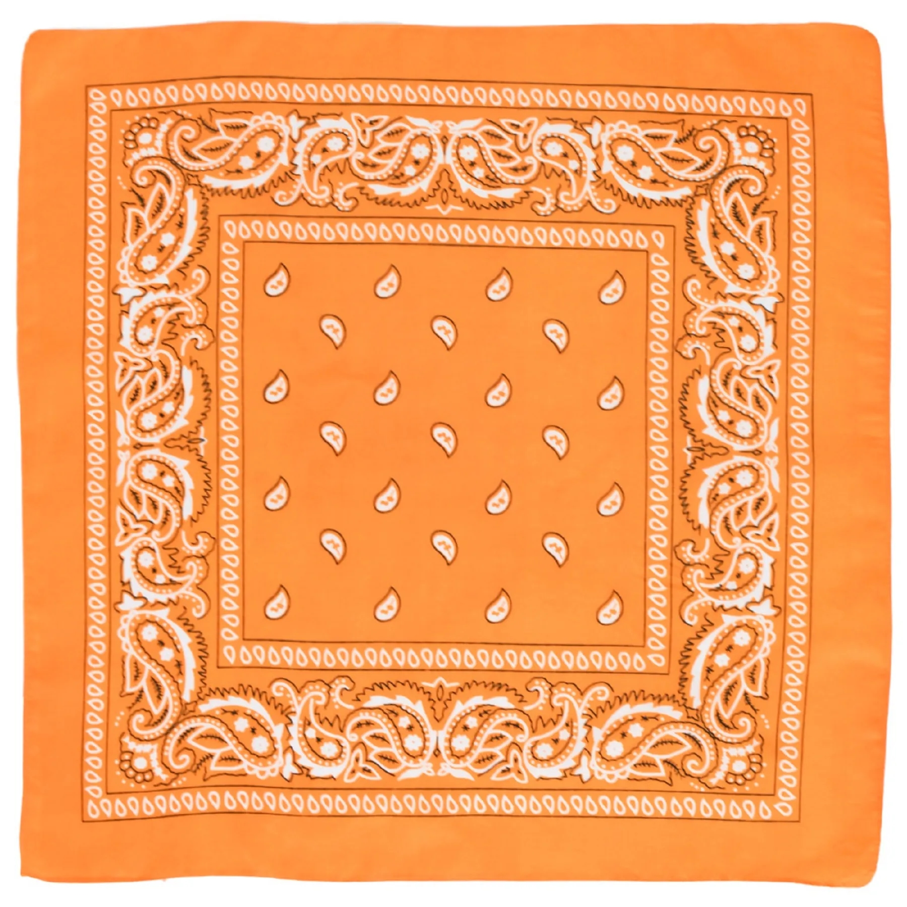 Multi-Purpose Bandanas Paisley 12