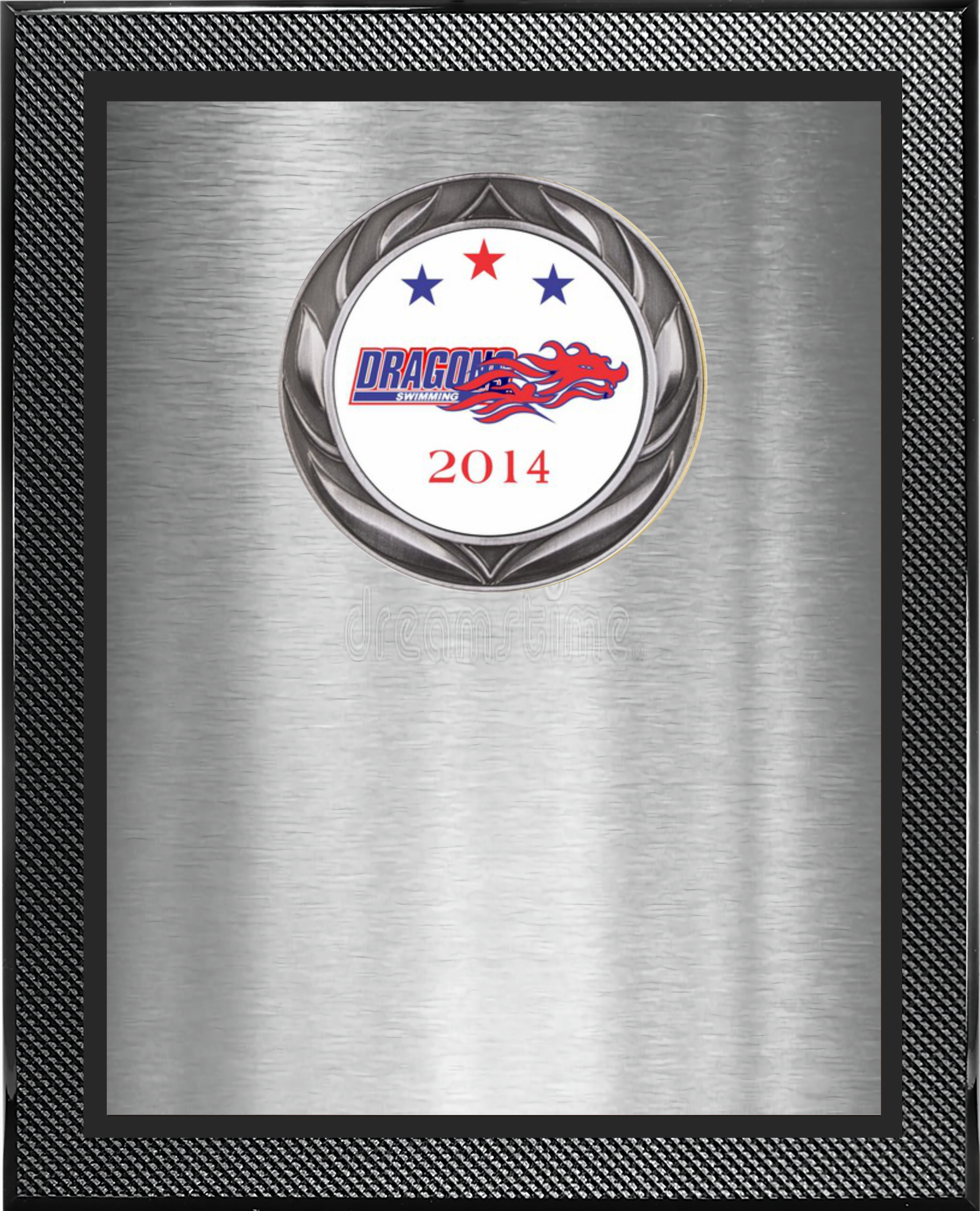 Piano Carbon Fiber Plaque w/Medallion Over Double Plate 3