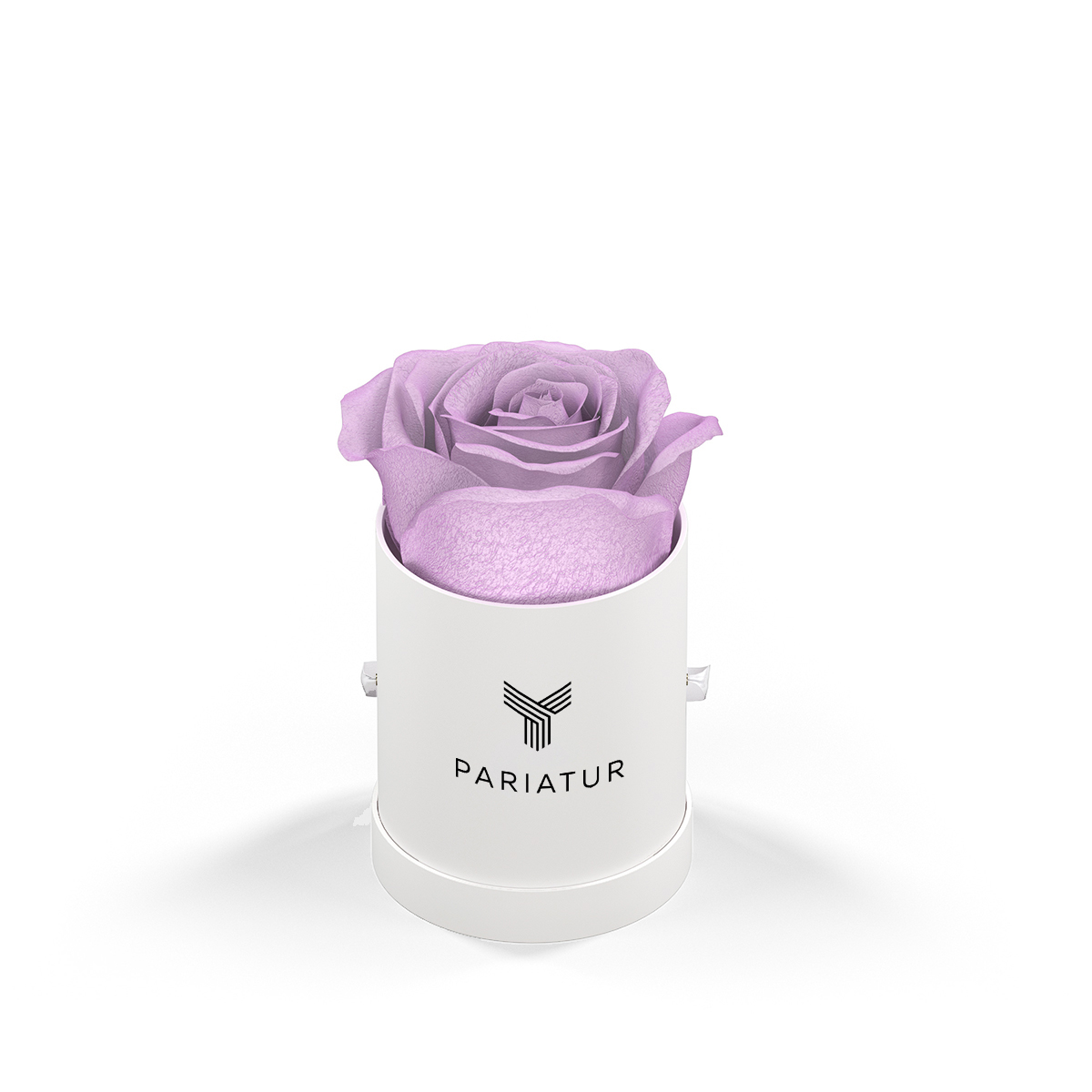Classique by VeF Le Mini™ Round 24