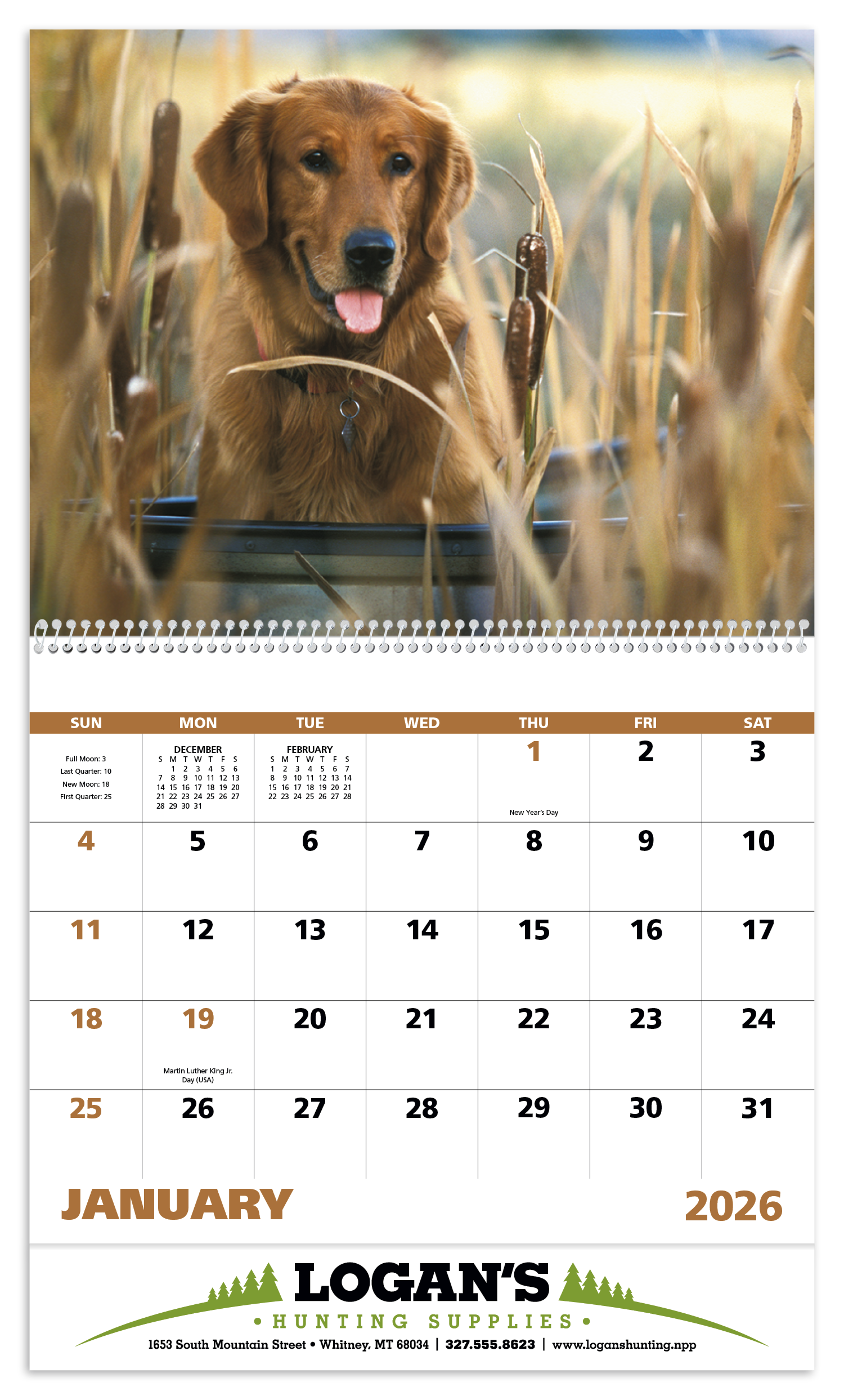 Good Value™ Sporting Dogs - Spiral Calendar 38