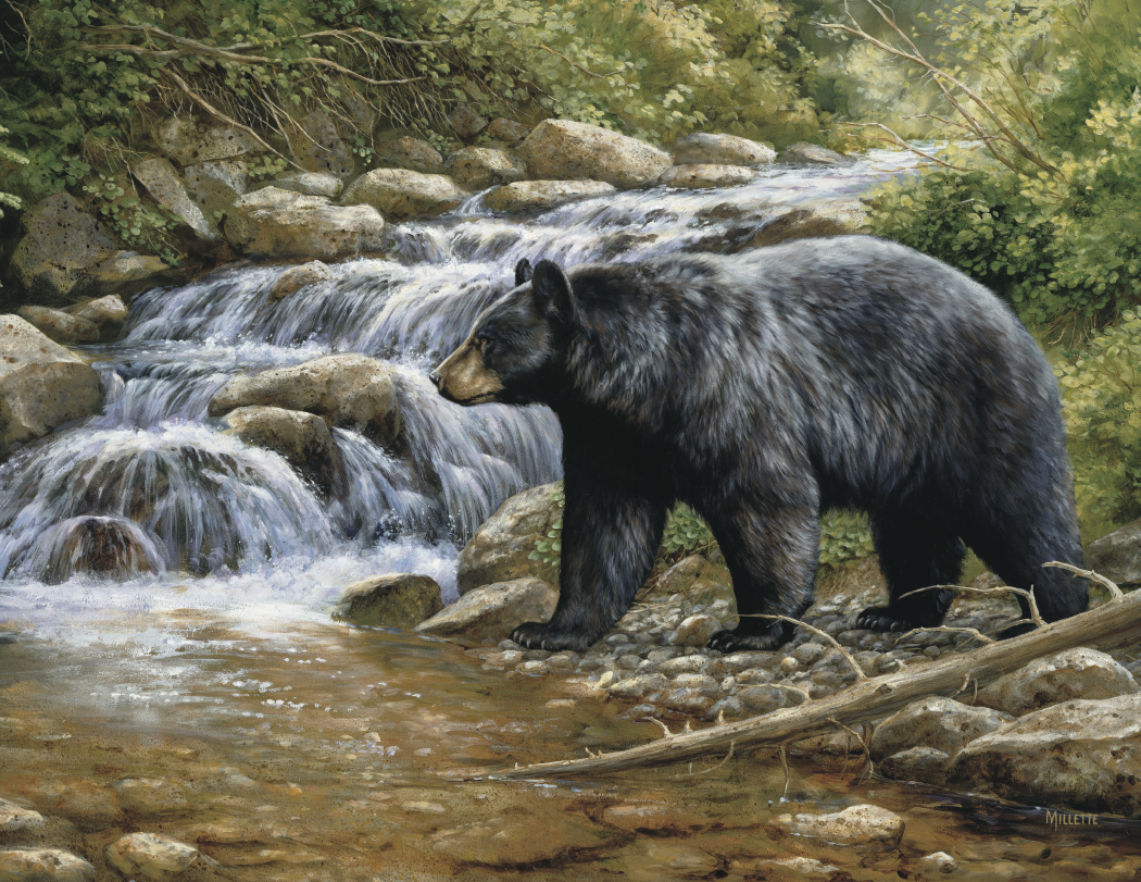 Triumph® Calendars Wildlife Art Calendar 4