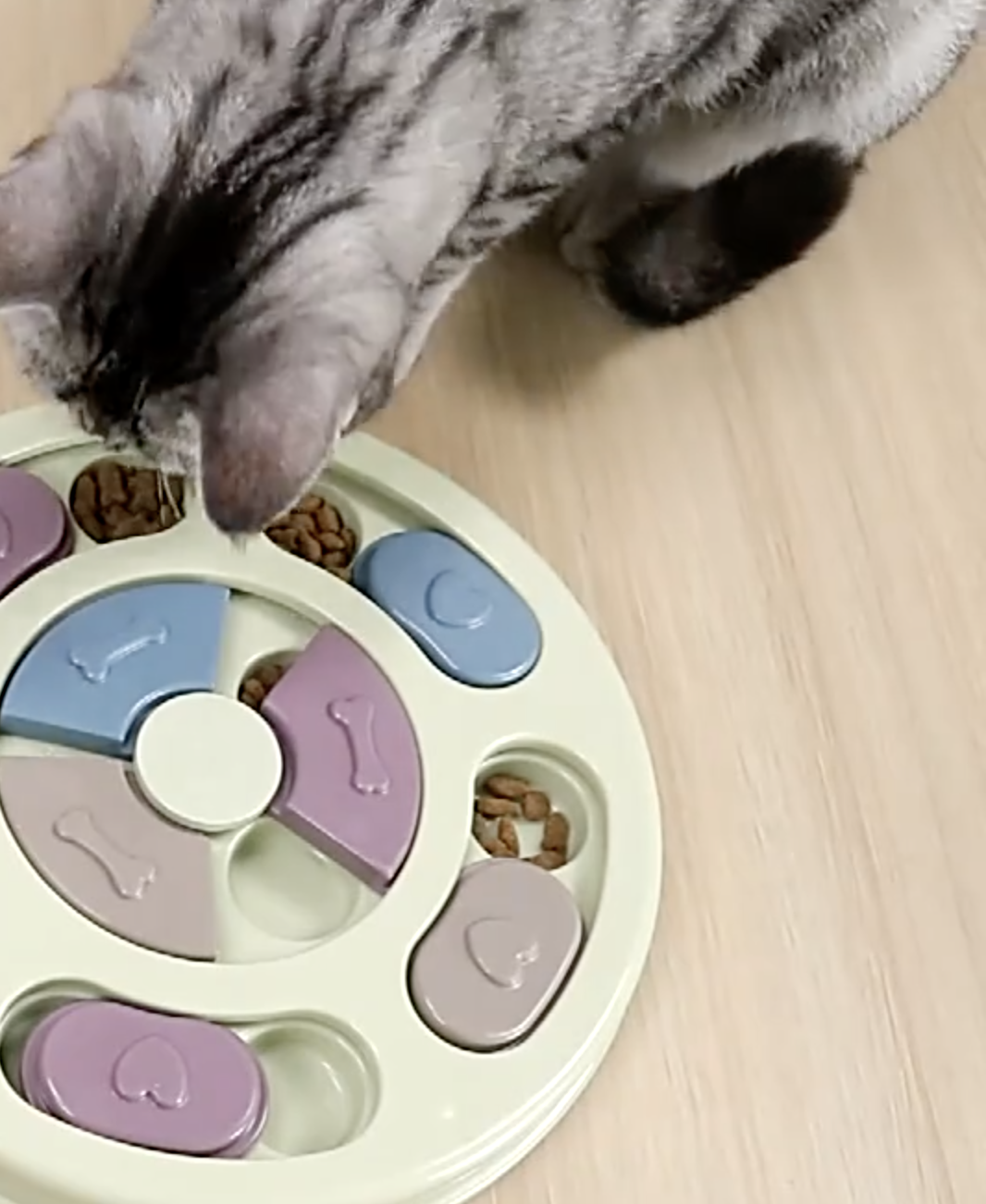 Dog Treat Puzzle 3