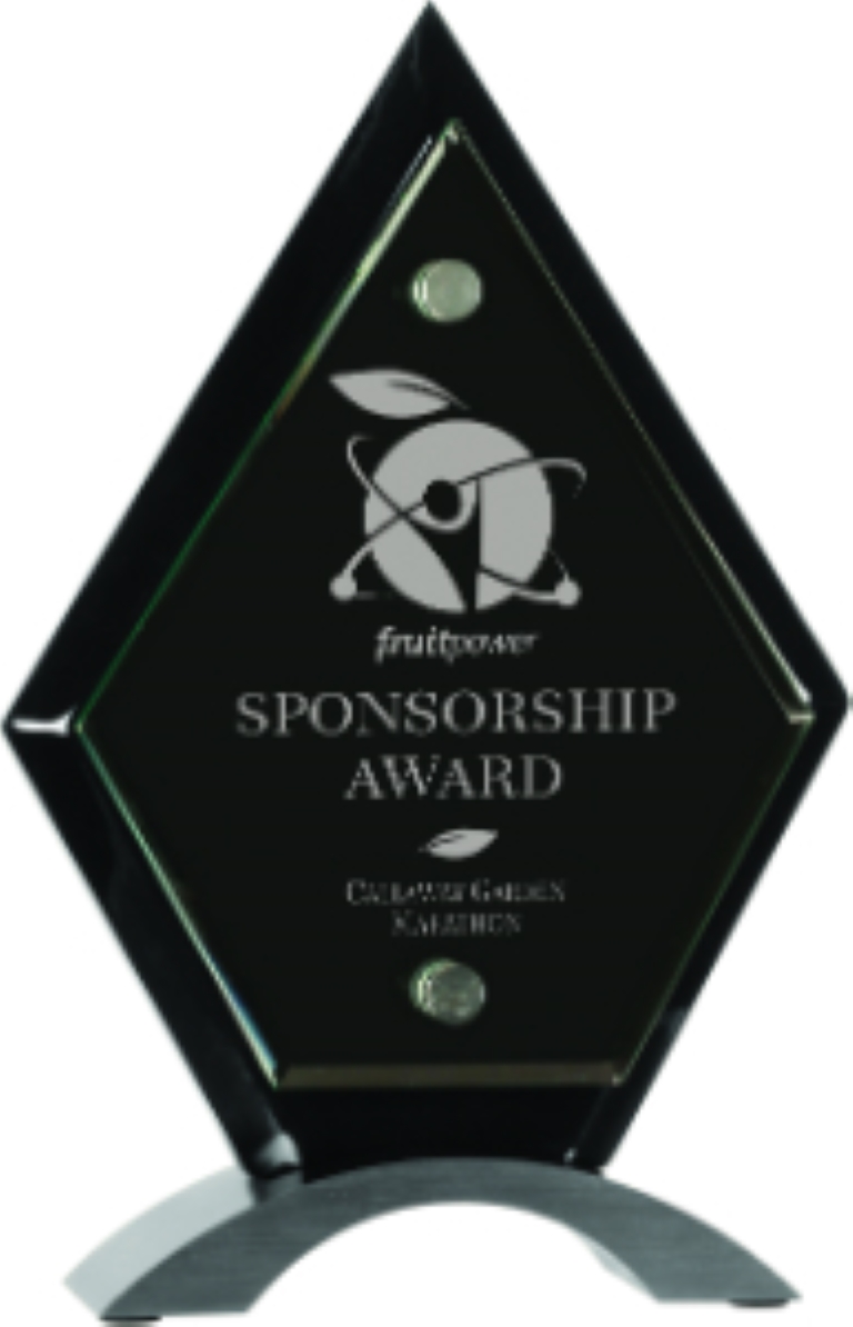 8 1/2" Diamond Black Piano Finish Floating Jade Glass Standup Award