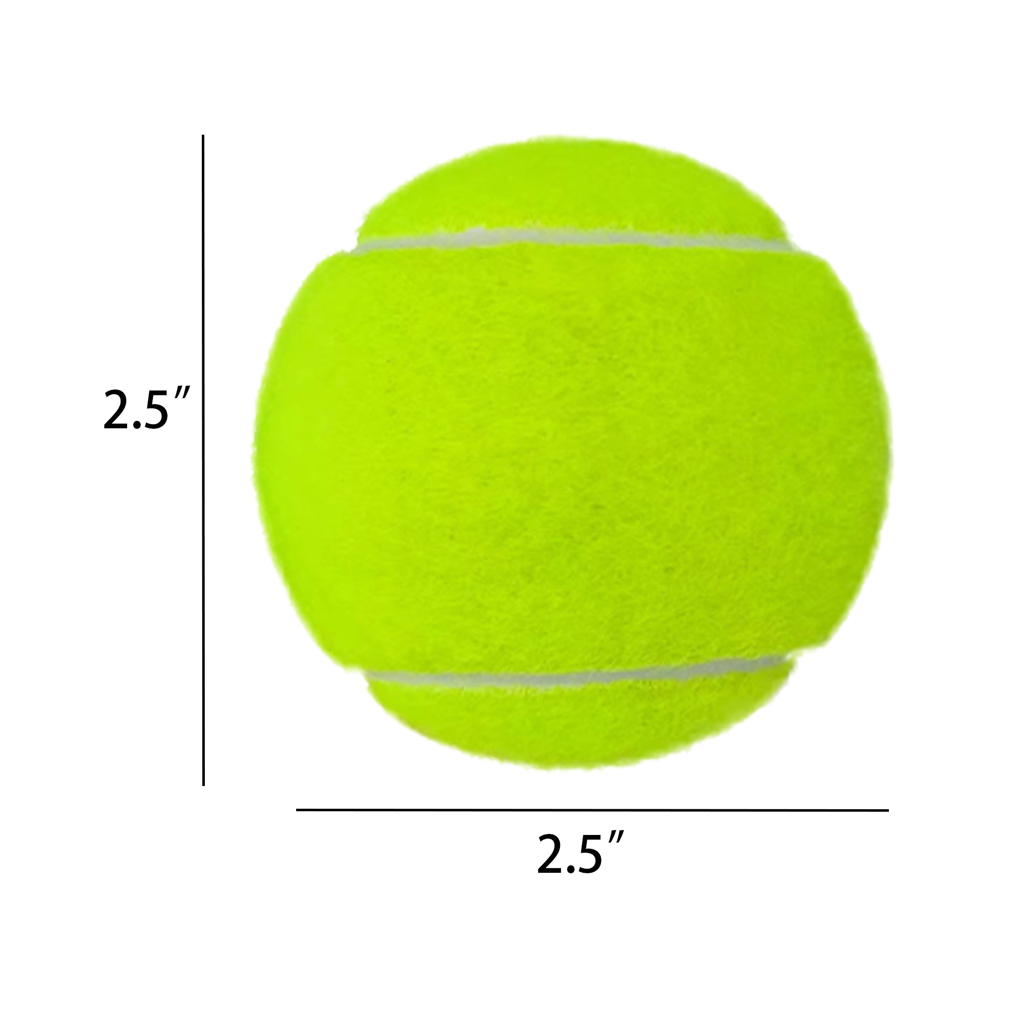 Vibrant Rubber Fetch Training Ball 10