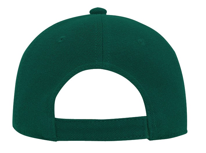 OTTO CAP® 6 Panel Low Profile Baseball Cap 110