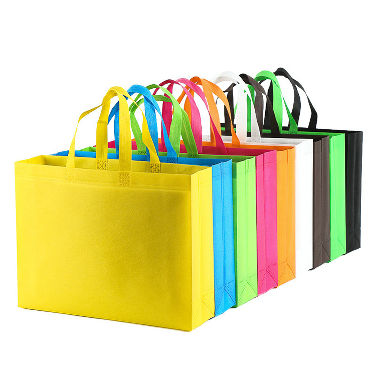 Non Woven Fabric Carry Bag 3