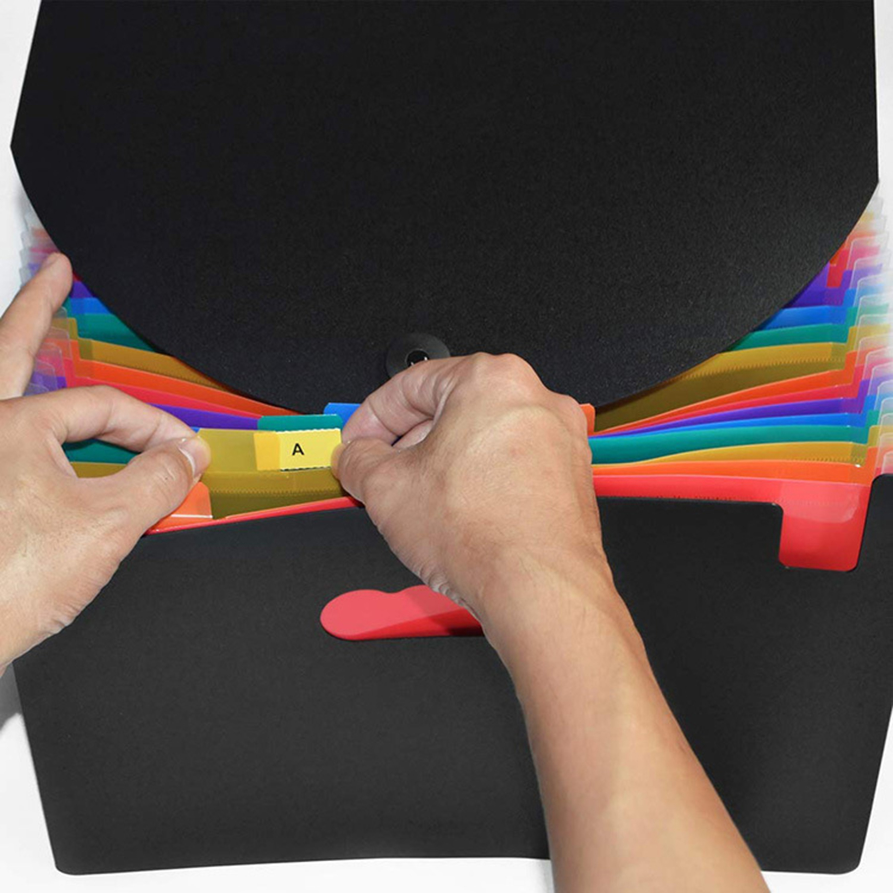 Plastic Clear A4 File Folder 4