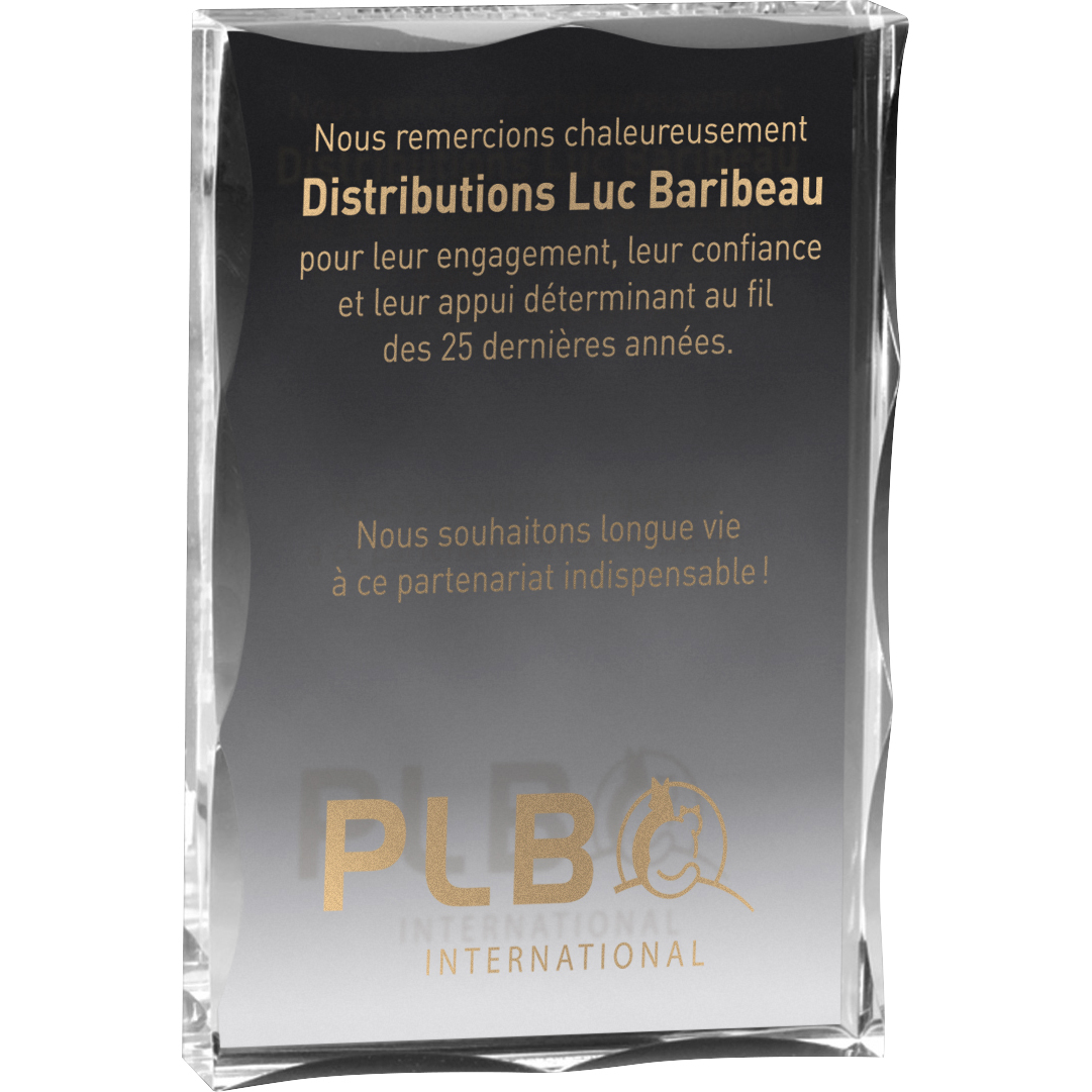 Large Clear Block Award (4"x6"x3/4") Screen-Printed
