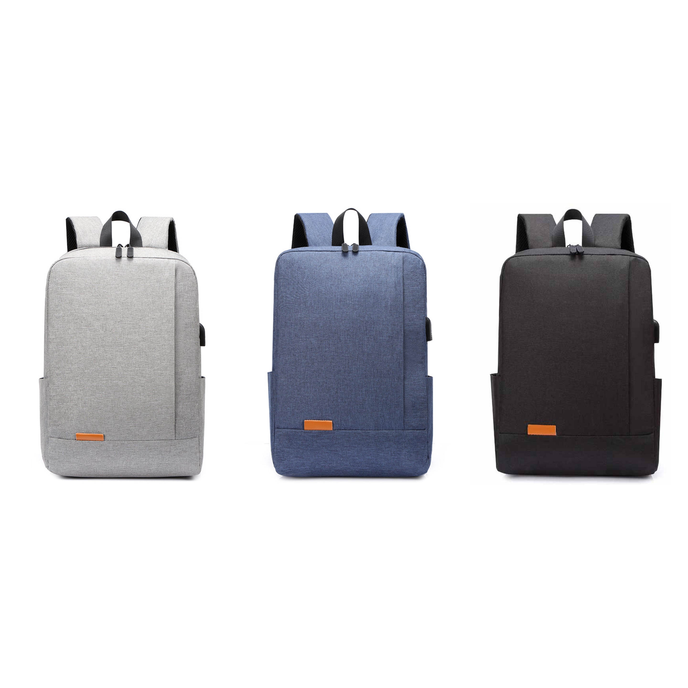 Laptop Backpack (direct import) 2