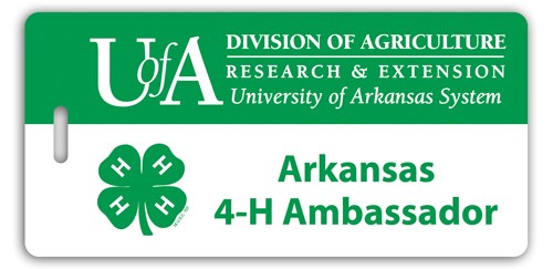 Screen Printed Poly Write-on Tag w/ Flexible Plastic Loop Strap (2.12"x4.375") Rectangle 1