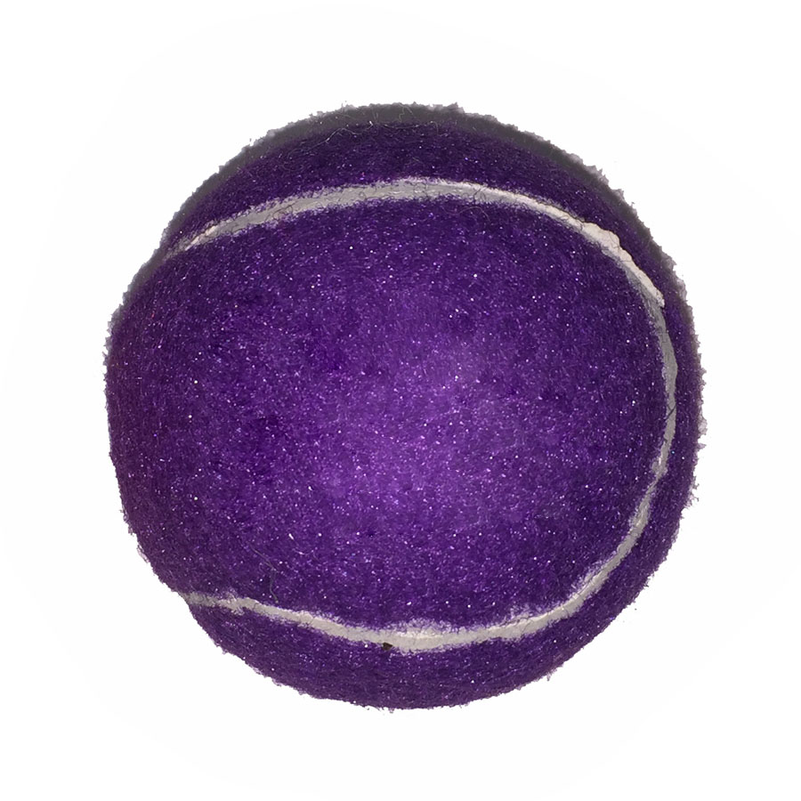 Full Color Fido's Dog Ball 32