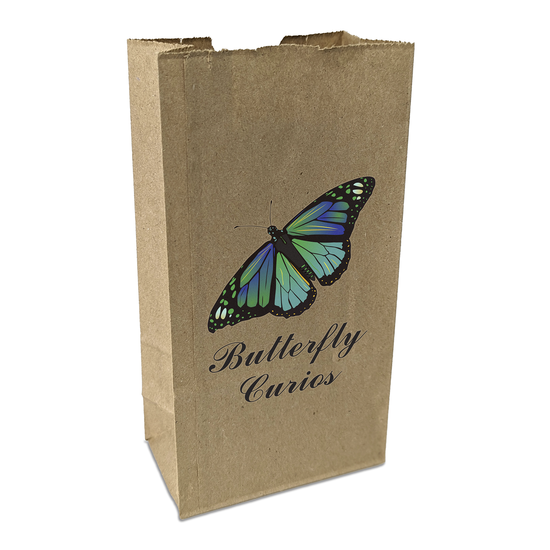 2# Popcorn Bag - ColorVista