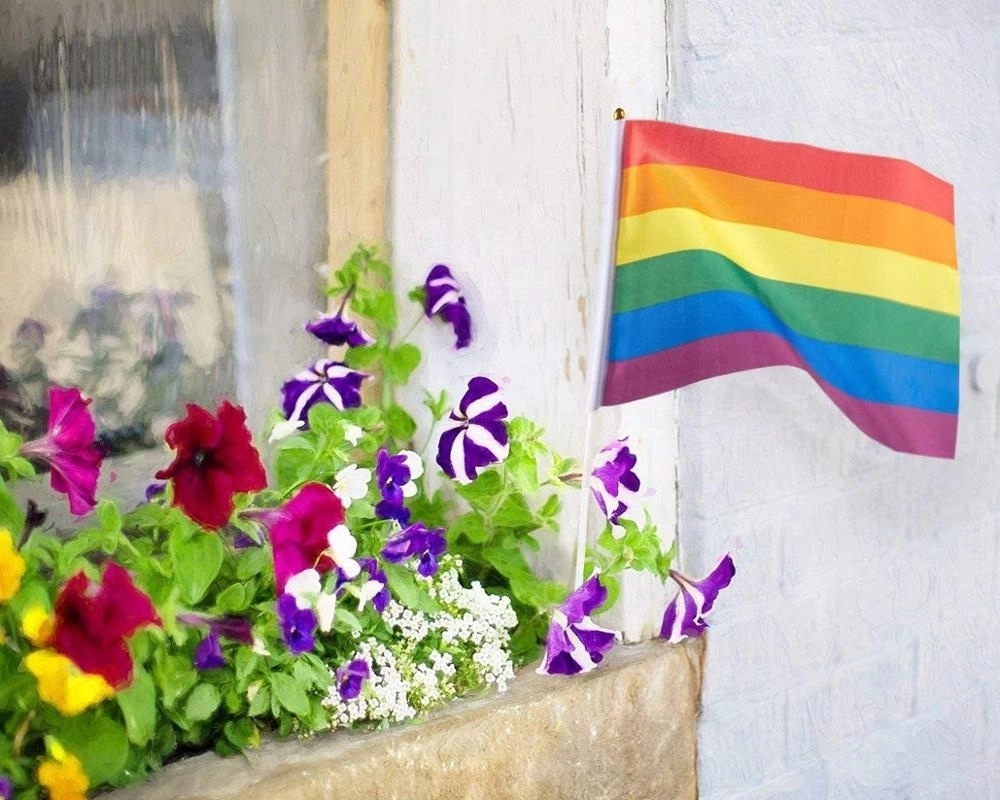 Small Rainbow Hand Flags 7