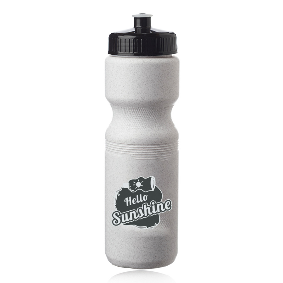 Push Cap Plastic Water Bottle 28 oz 14