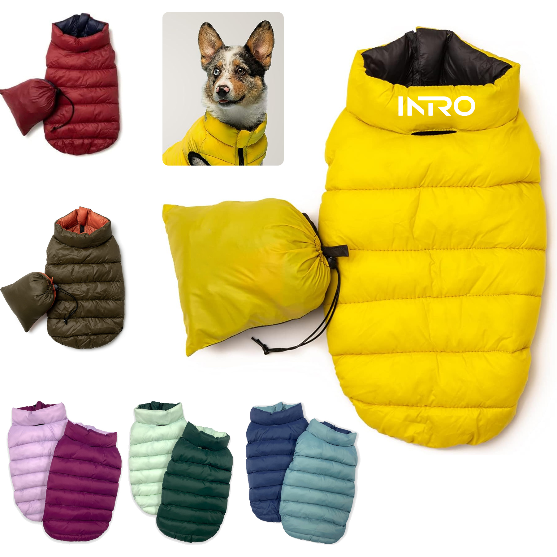 Pet Down Jacket 2