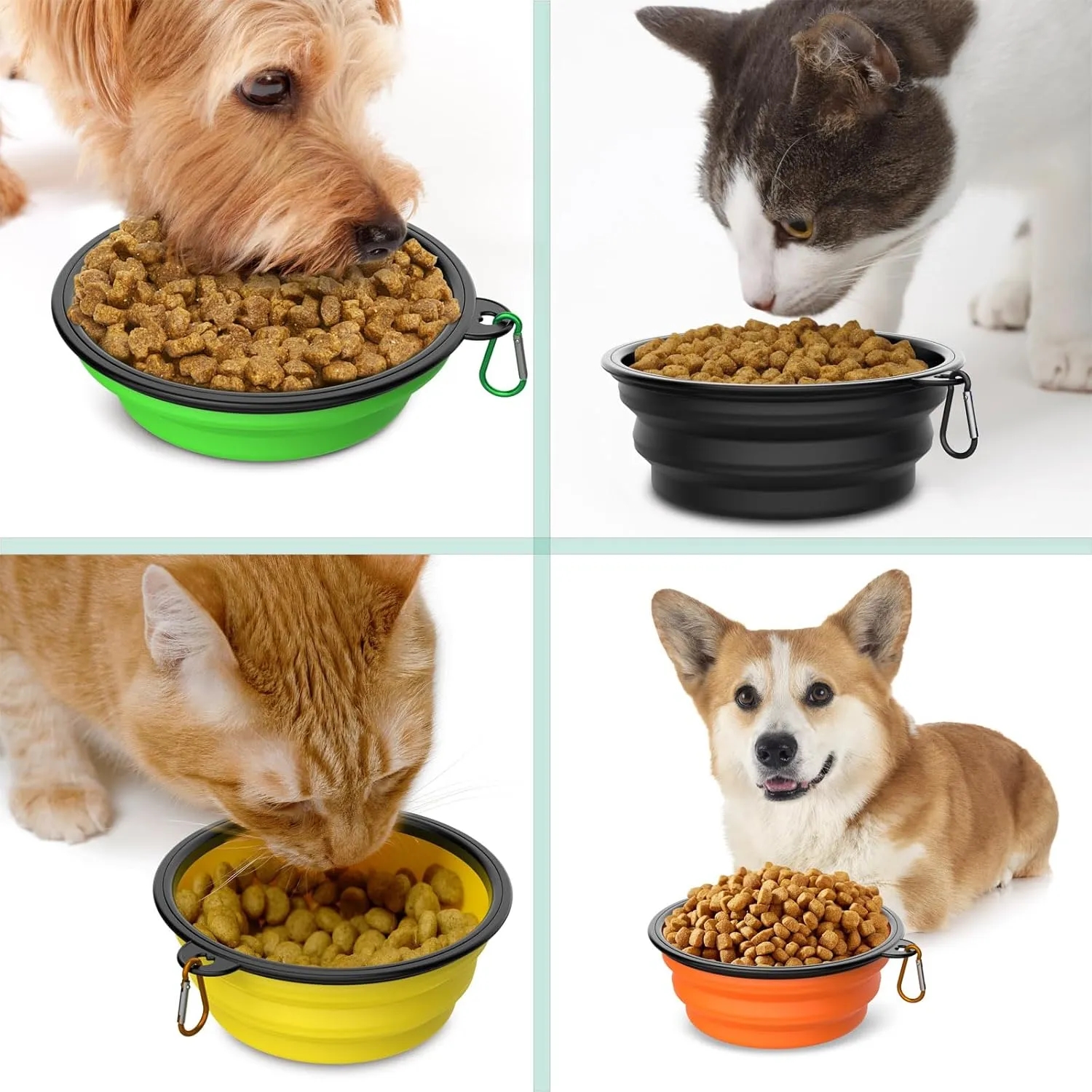 Foldable Pet Bowl With Mountain Climbing Buckle 3