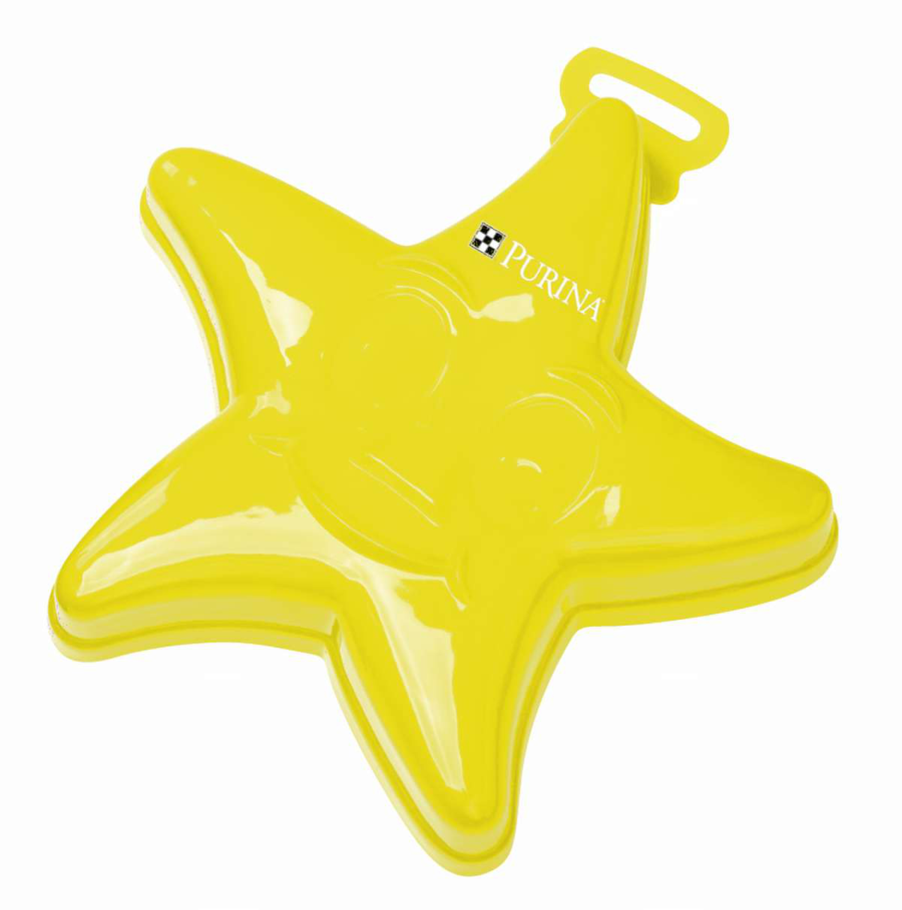 7" Star Fish Sand Mold 13