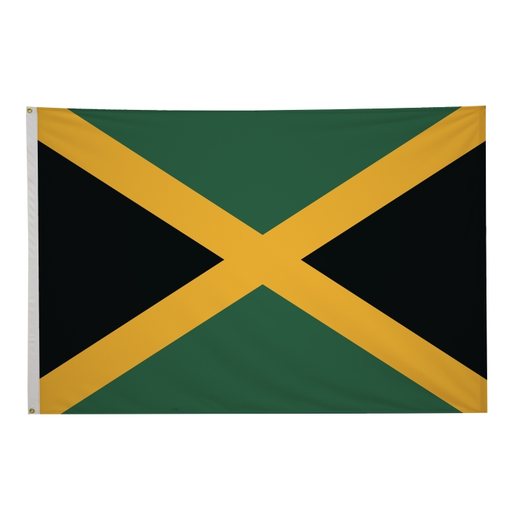 4' x 6' International Flags 275