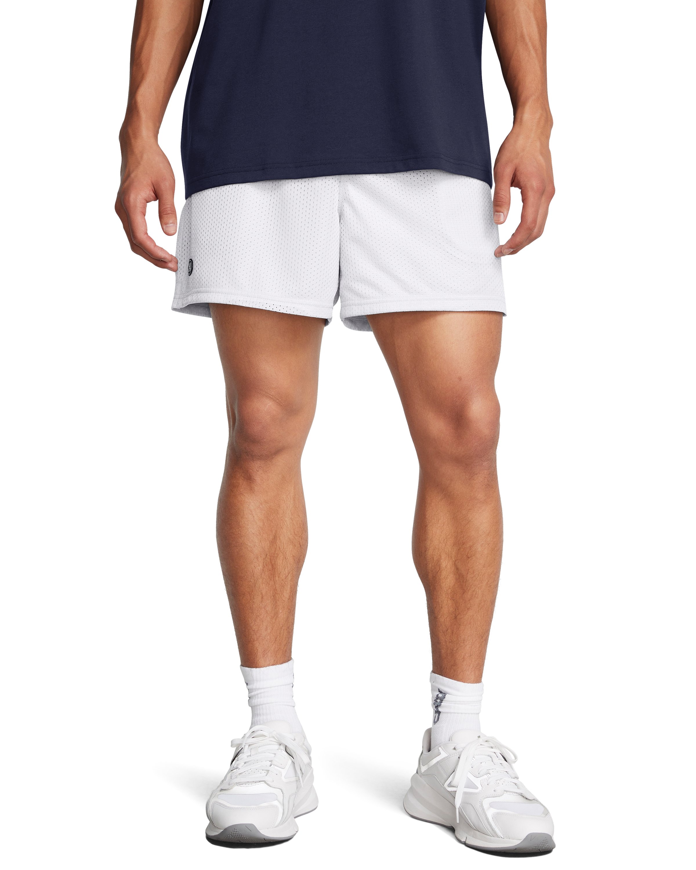 UA Icon Mesh Men's 5 Shorts 9