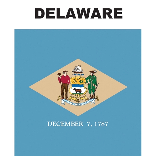 Mini Banner - Delaware 2