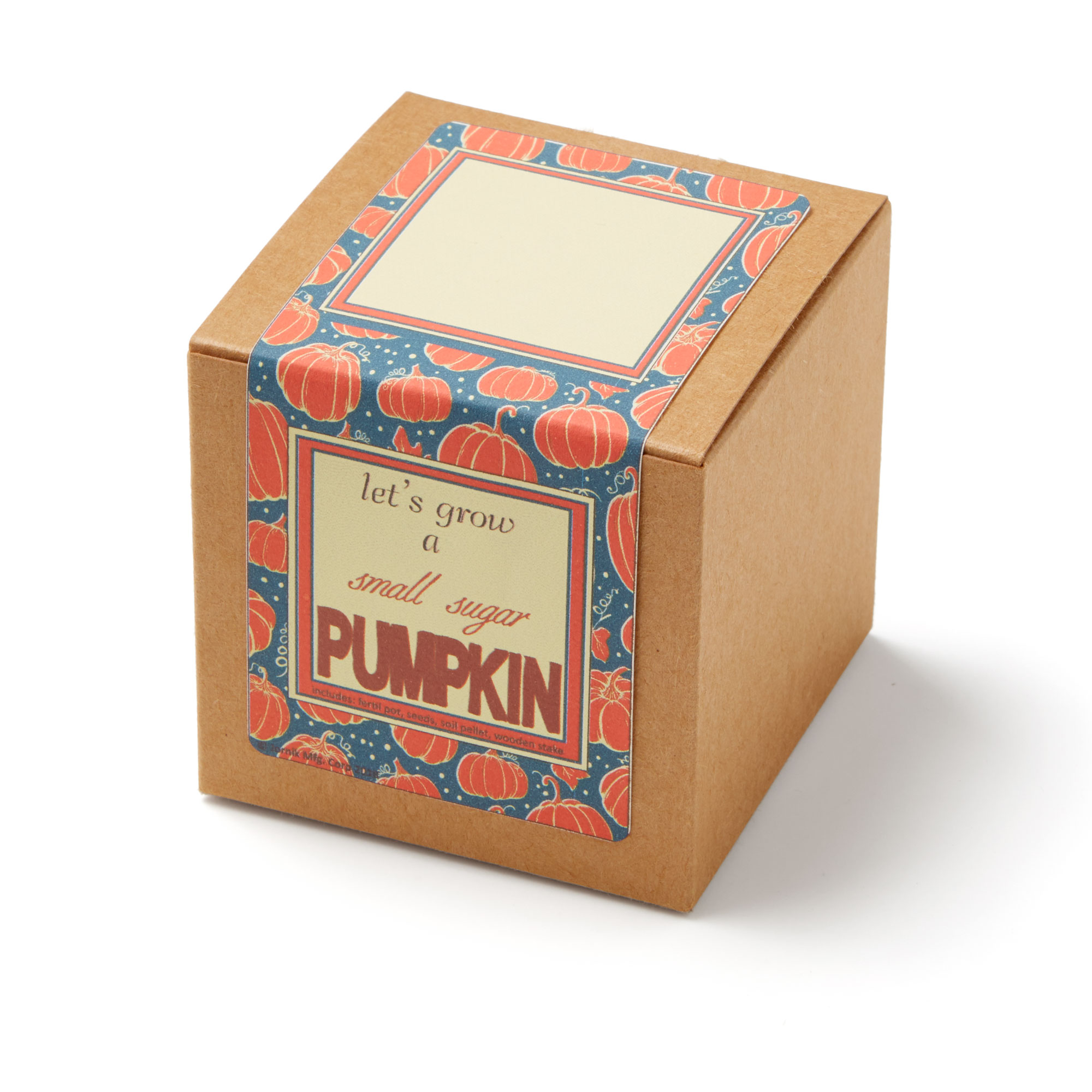Small Sugar Pumpkin Growables Planter Pot in Kraft Gift Box w/Seeds 2