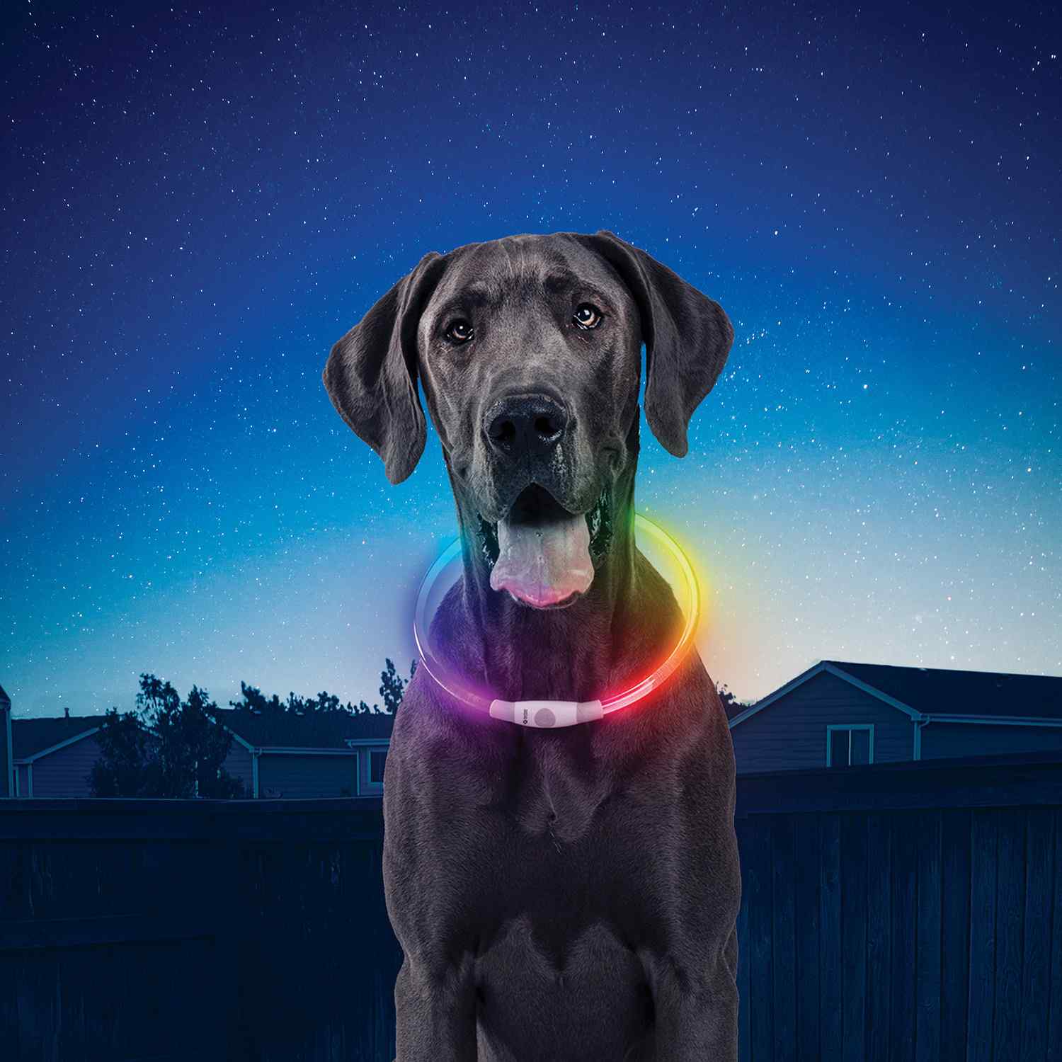 NITE IZE® NITEHOWL® RECHARGEABLE LED SAFETY NECKLACE 2