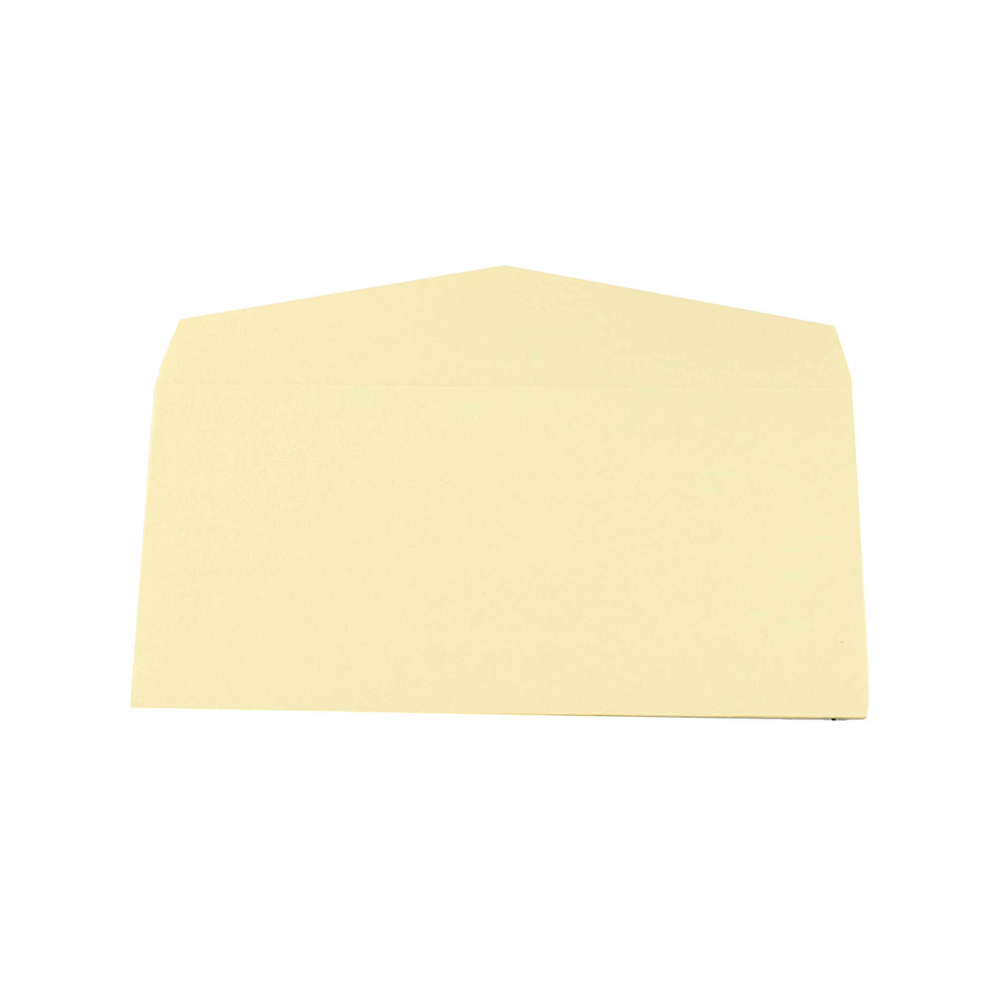 Premium Business Gold-Stamped Envelope 7