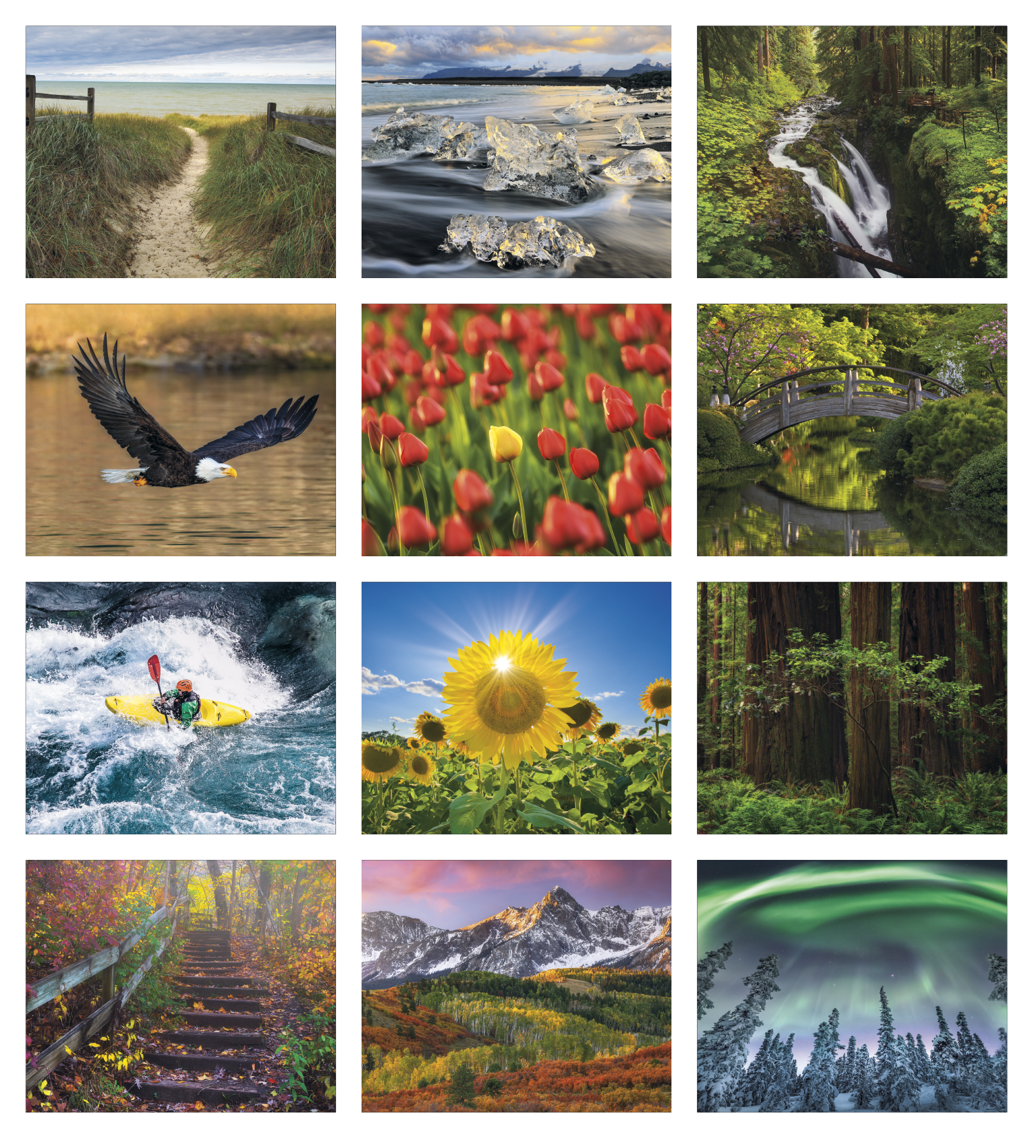 Triumph® Calendars Motivations Desk Pad 50