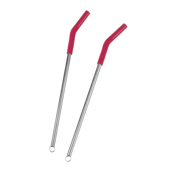 Reusable Stainless Steel Two Straw Set 40