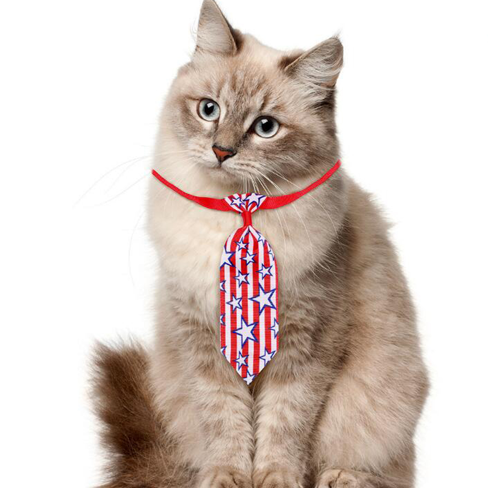 US Independence Day Pet Accessories 2