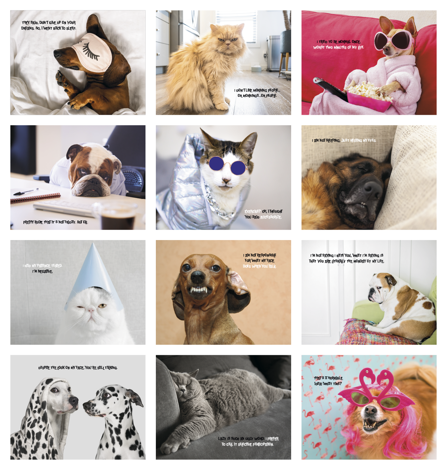 Good Value™ Pets with Attitude - Spiral Calendar 3