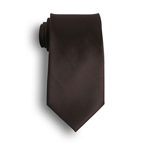 Brown Silk Tie 2