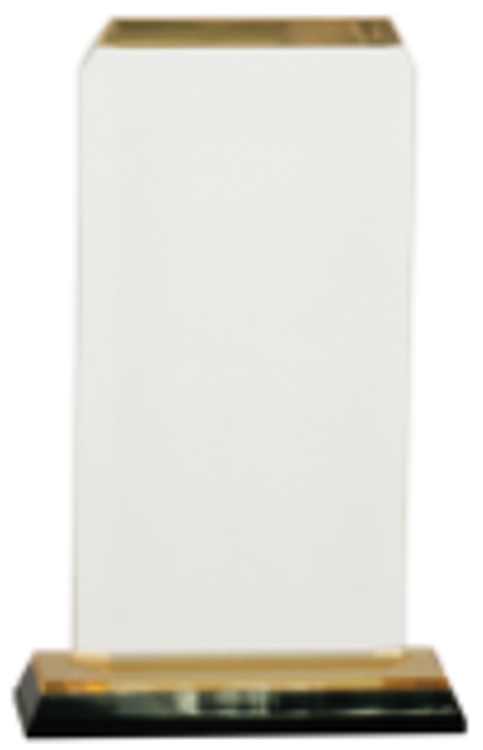 3.5" x 7.5" Gold Clipped Corner Impress Award 1