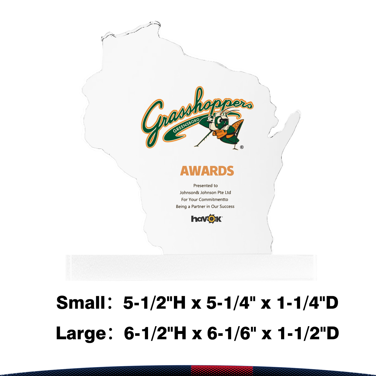 Tepek Wisconsin Crystal Award 6