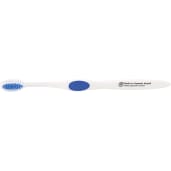 Winter Accent Toothbrush 43