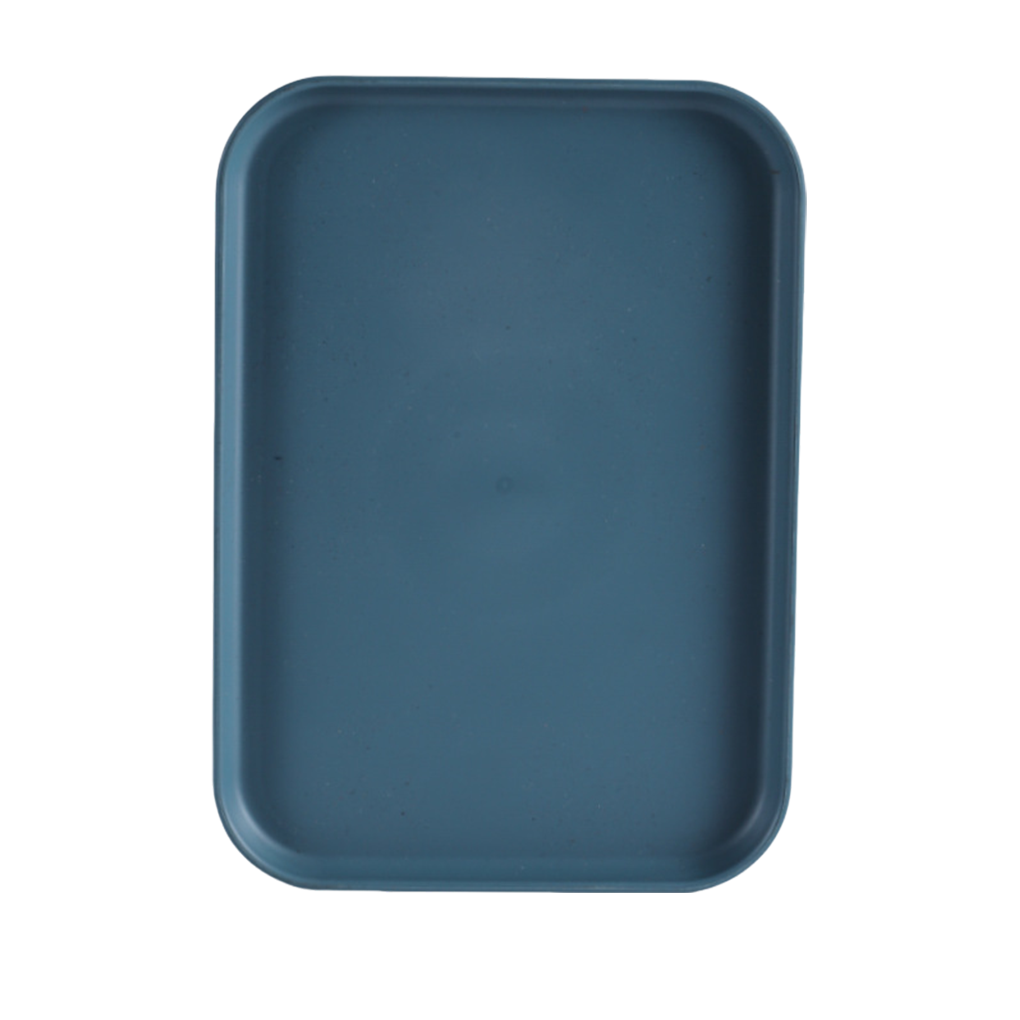 Colorful Fast Food Tray MOQ50 2