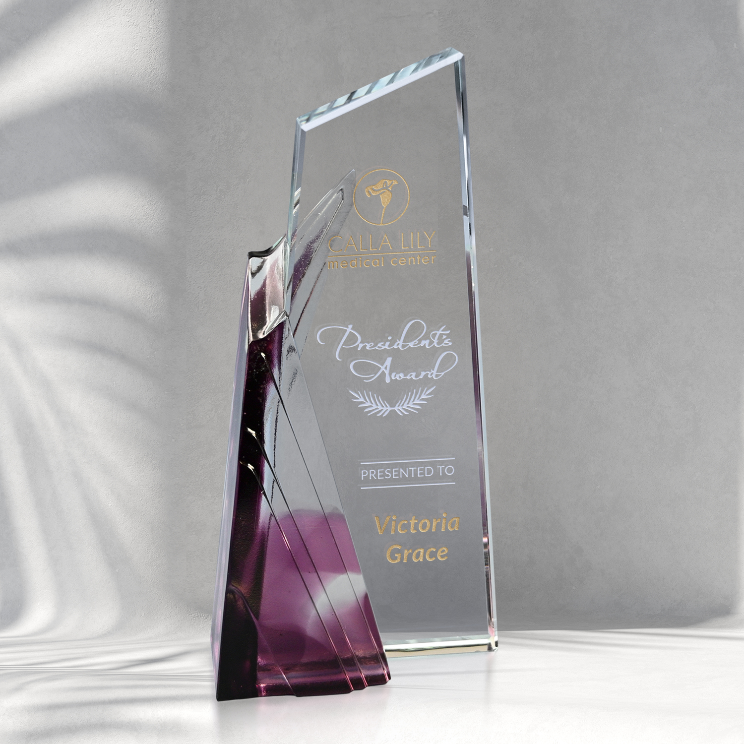 Achievement Award 3