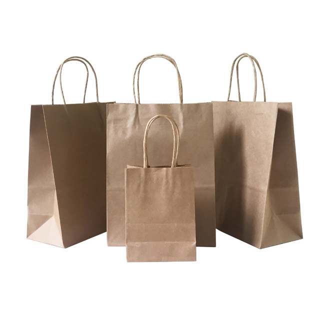 Kraft Paper Gift Bags with Handles 1