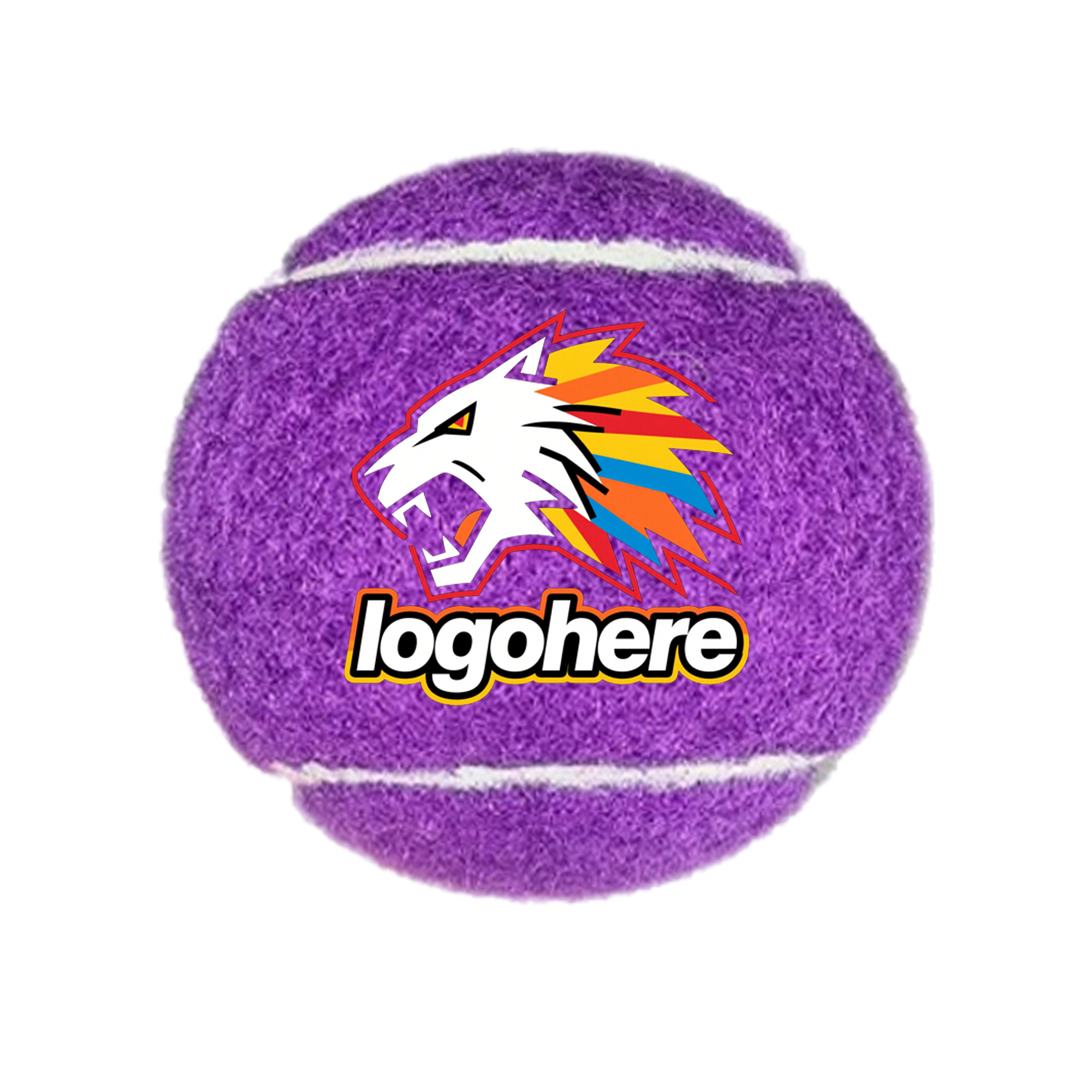 Vibrant Rubber Fetch Training Ball 5