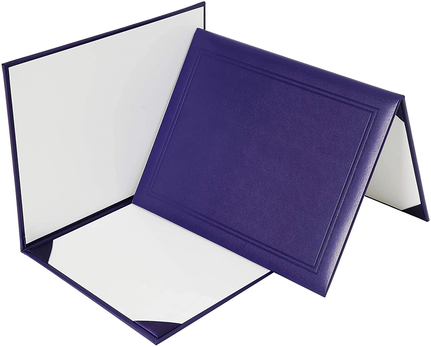 Certificate Holder 8