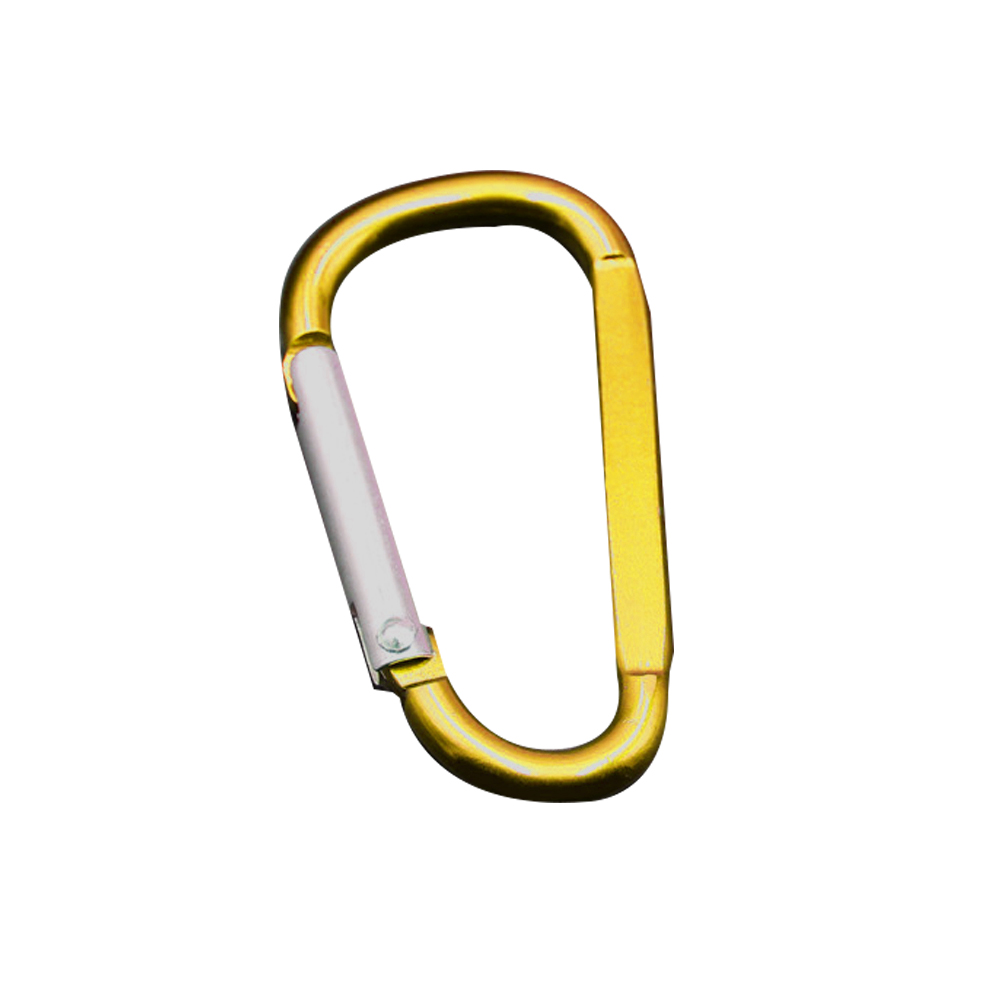 Carabiner Key Chain 5